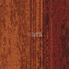 Ковровая плитка Rudiments Коллекция Clay Create Clay Create 325 фото 1 | FLOORDEALER